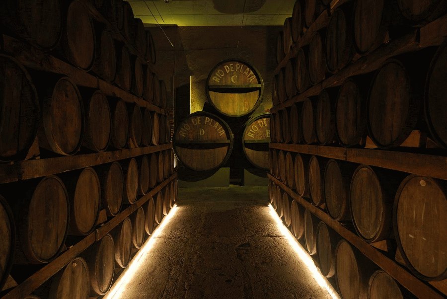 Ruta del Tequila: Pueblo Mágico y Destilerías